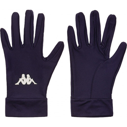 Aves 3 Pro Team Gloves Mens Blue Marine
